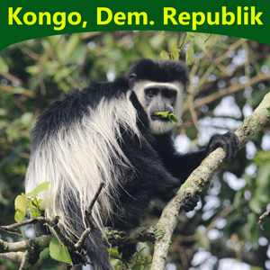Kongo-Demokratische-Republik