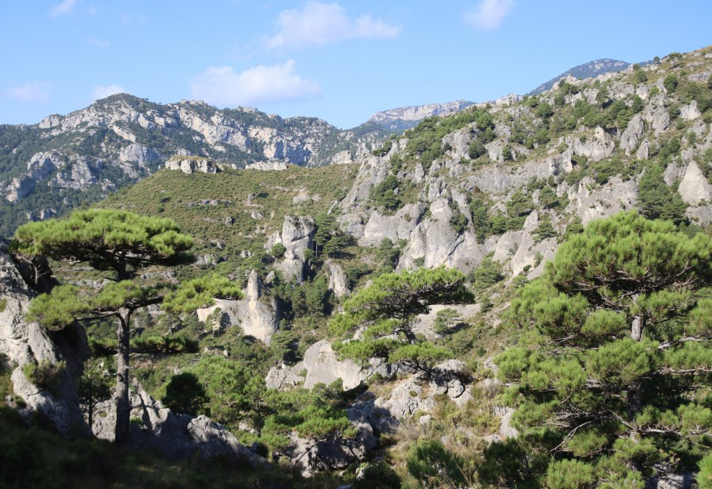 Spanien Naturpark Els Ports