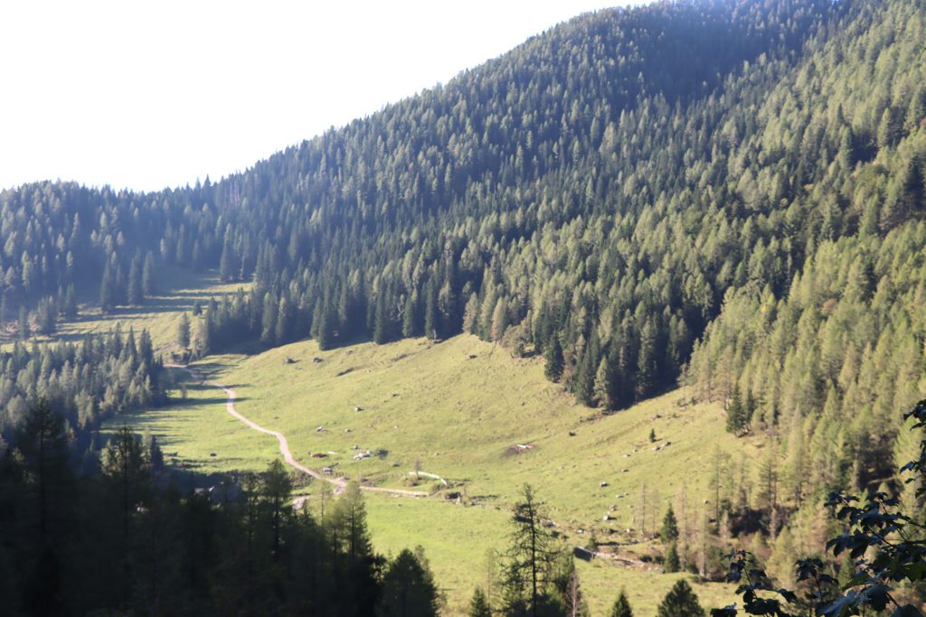 Pokljuka
