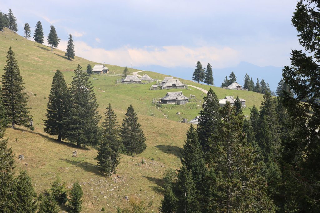 Velika-Planina